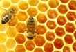 Vì sao mật ong giảm cân 
