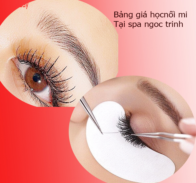 bang-hoc-phi-khoa-hoc-noi-mi-chuyen-nghiep-tron-goi-tphcm-2026