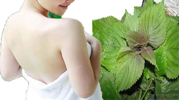 B&iacute; Quyết Sở Hữu L&agrave;n Da Trắng Hồng Khỏe Khoắn Của H&agrave;ng Ng&agrave;n Phụ Nữ