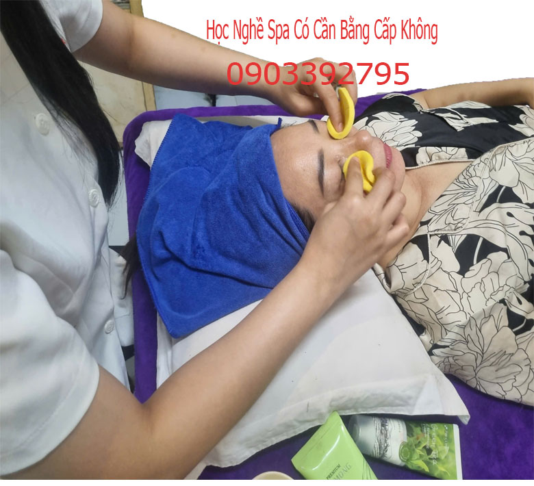 Lộ tr&igrave;nh học spa từ cơ bản hướng dẫn thực h&agrave;nh thao t&aacute;c kỹ thuật massage chăm s&oacute;c da mặt.